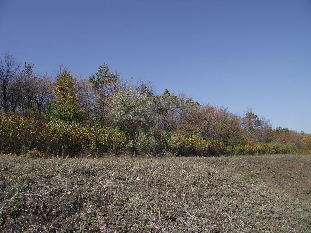 Артемівськ з panoramio.com (ч.2) - Артемівськ