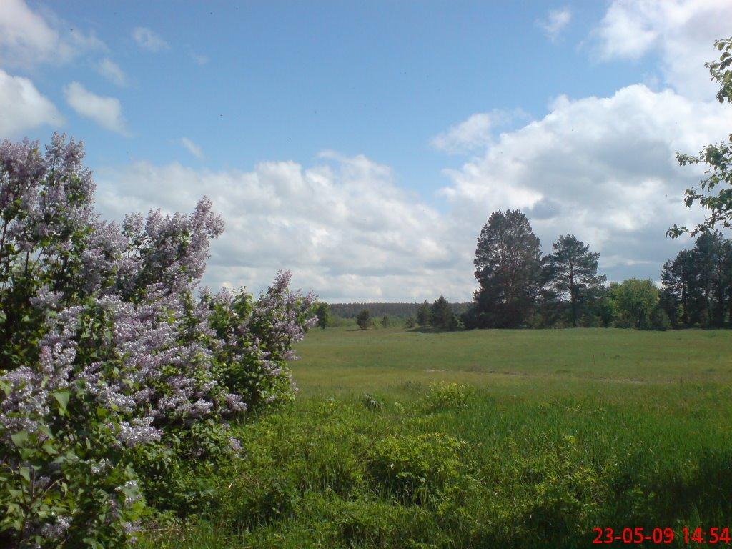 Кушкине з panoramio.com - Кушкино
