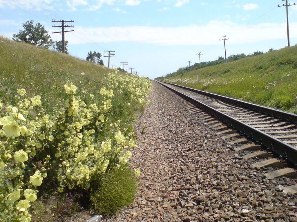 Луначарське з panoramio.com - Азовське