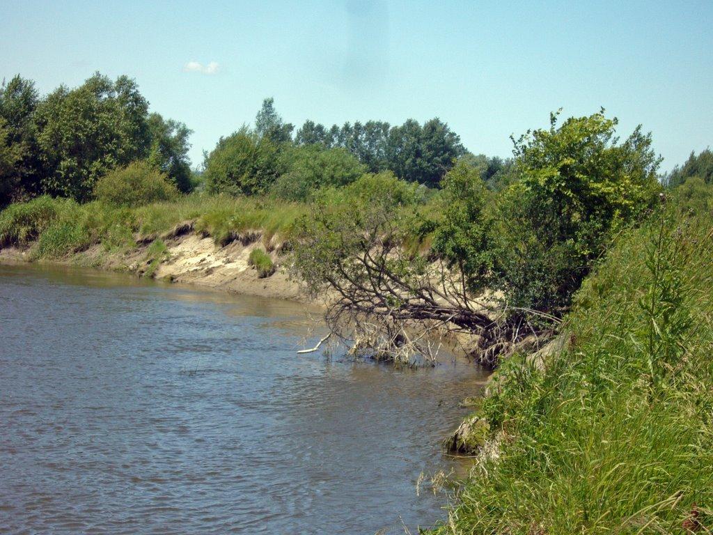 Новоугрузьке з panoramio.com - Новоугрузьке