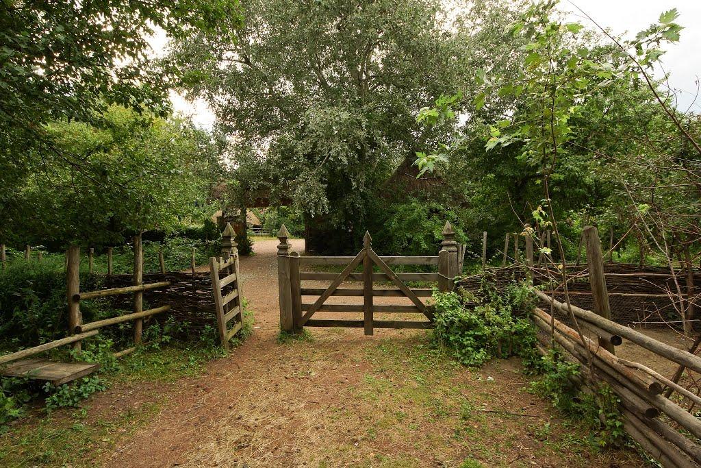Софіївська Борщагівка з panoramio.com (ч.2) - Софиевская Борщаговка