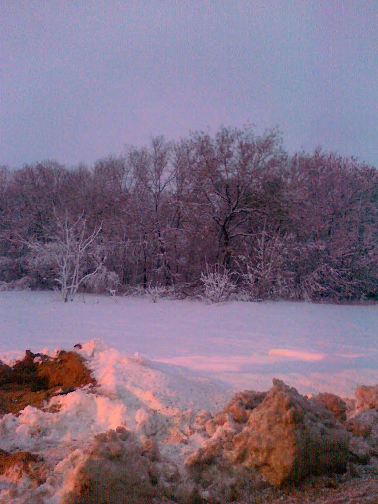 Мартинівське з panoramio.com - Мартинівське