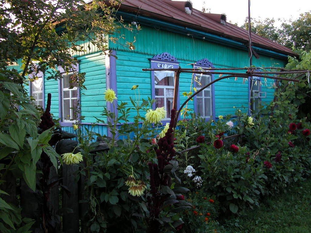 Бакаївка з panoramio.com - Бакаївка