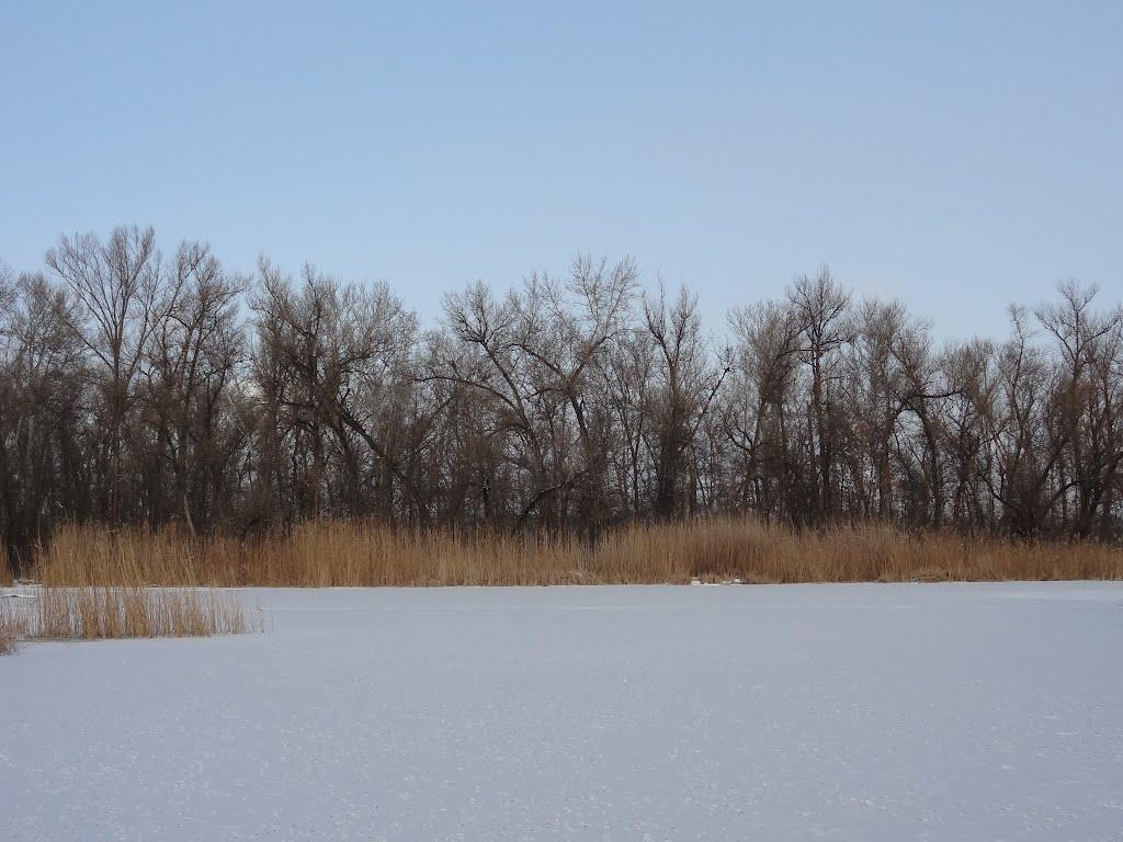 Кіровське з panoramio.com (ч.3) - Обуховка