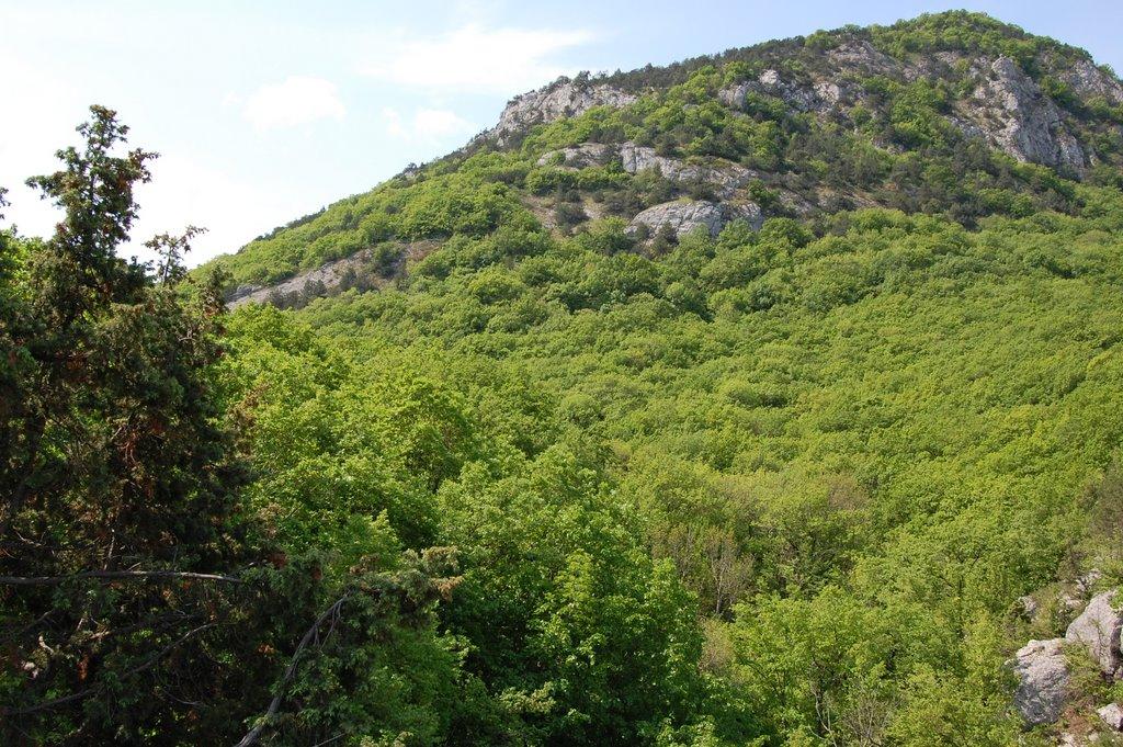 Резервне з panoramio.com (ч.4) - Резервное