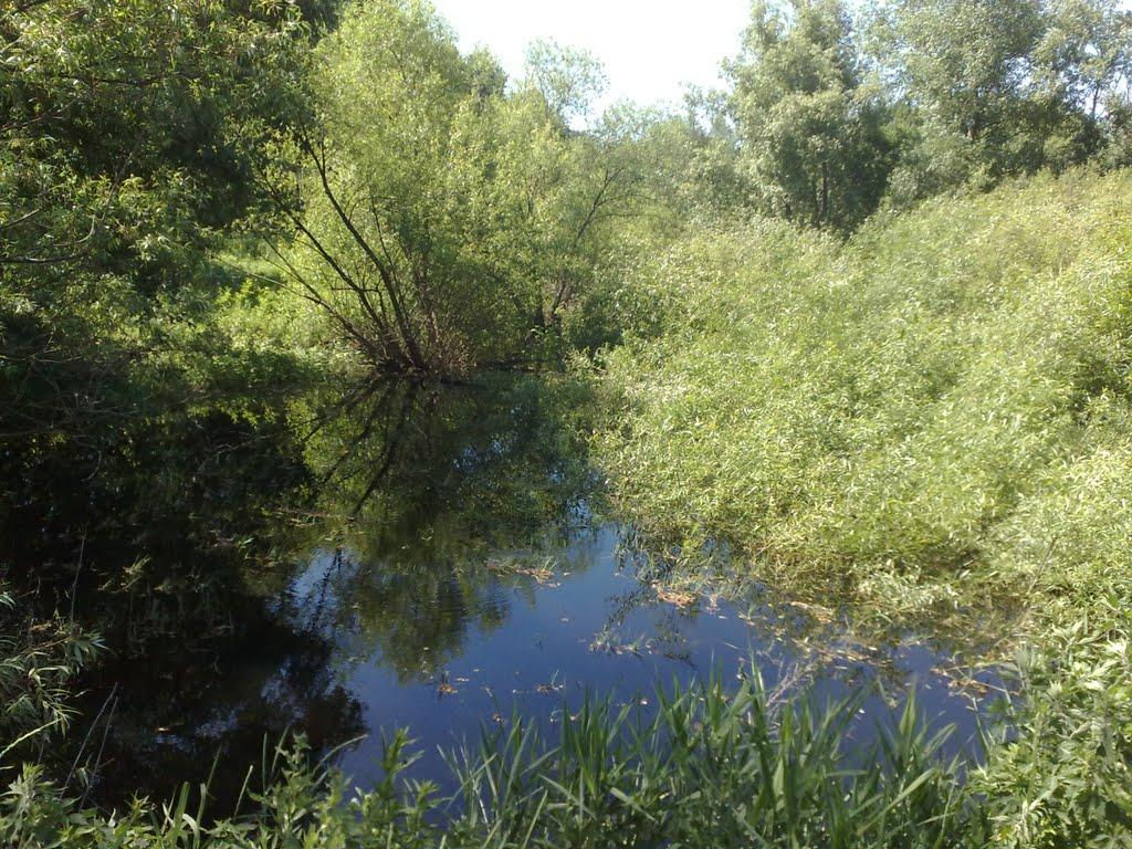 Мар'янівка з panoramio.com - Мар'янівка