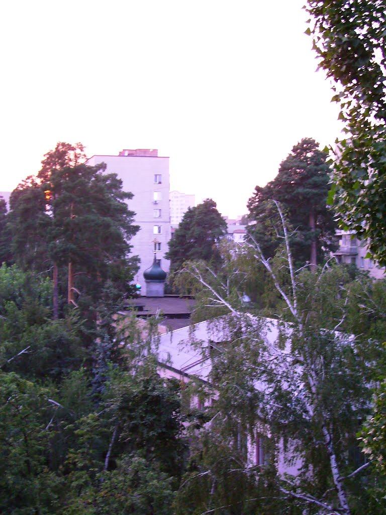 Гнідин з panoramio.com (ч.3) - Gnidyn