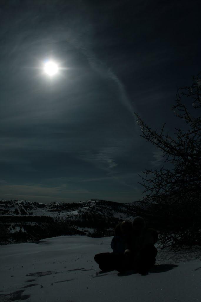 Охотниче з panoramio.com (ч.3) - Охотничее