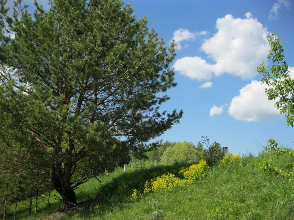 Жовтневе з panoramio.com - Жовтневе