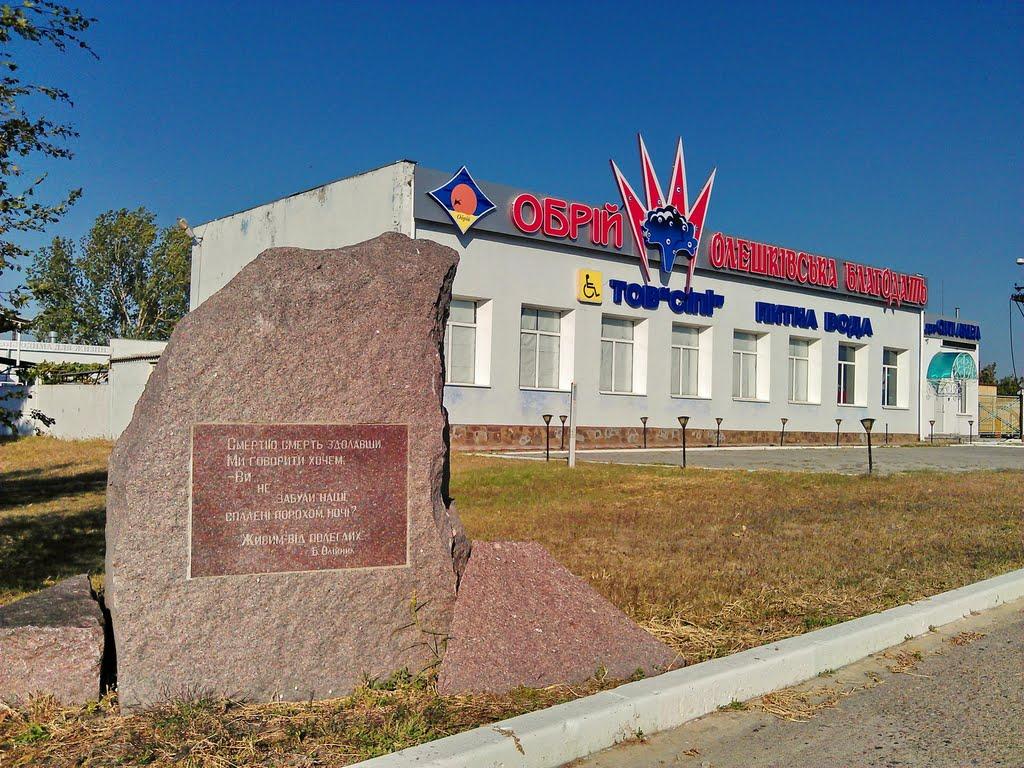 Цюрупинськ з panoramio.com (ч.2) - Цюрупинск