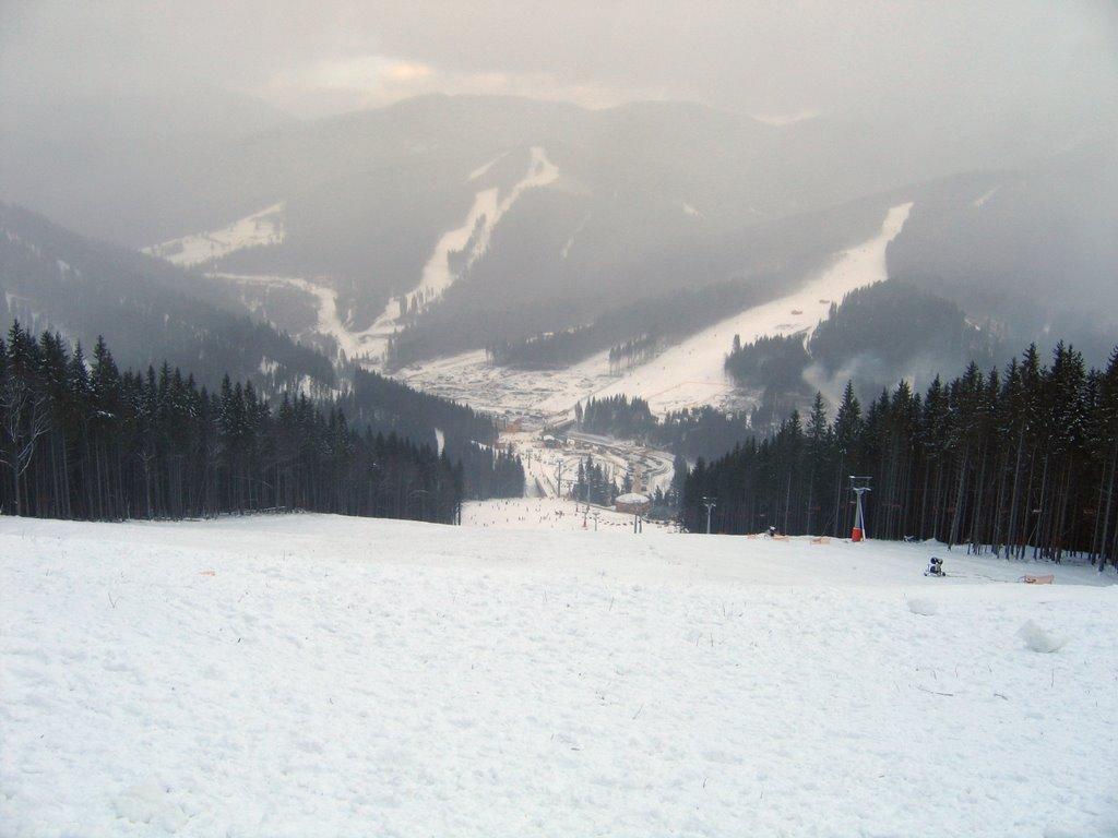 Паляниця з panoramio.com (ч.4) - Паляниця