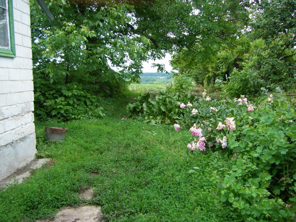 Голикове з panoramio.com - Голикове