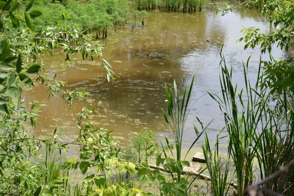 Дергачі з panoramio.com - Дергачі