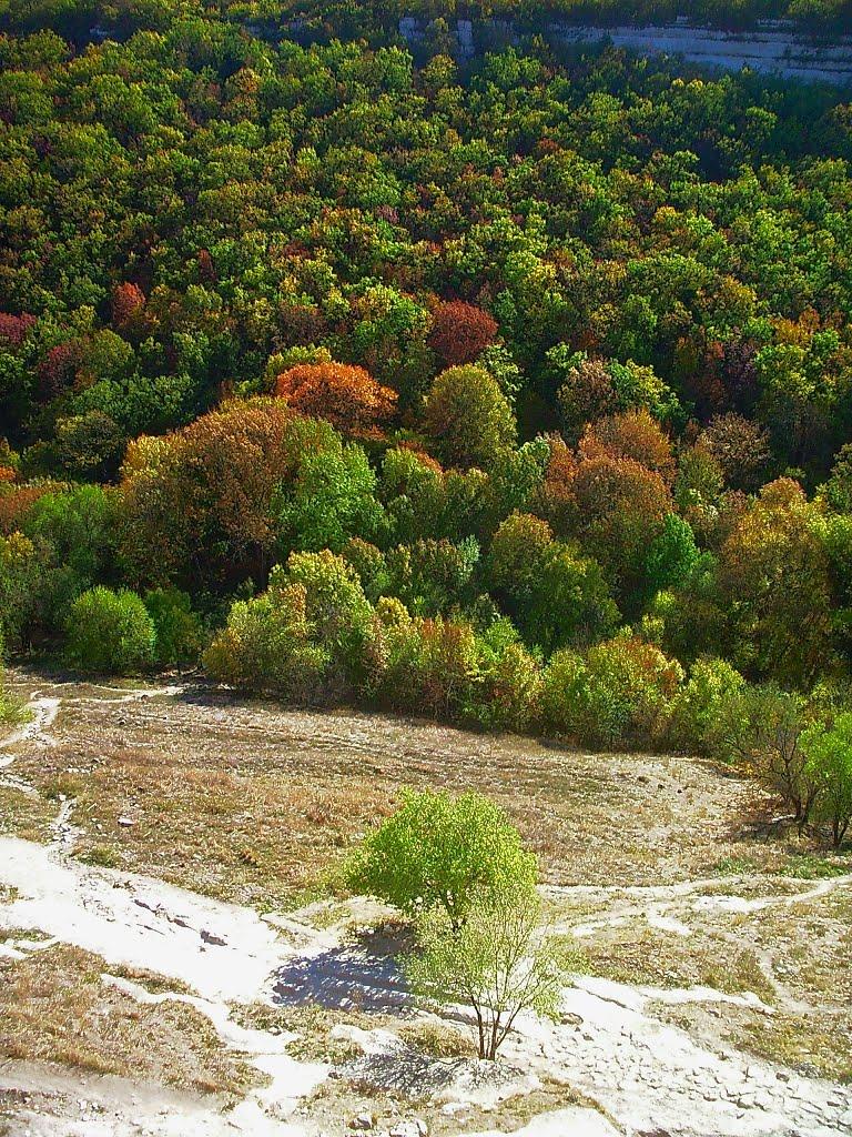 Машине з panoramio.com (ч.2) - Машино