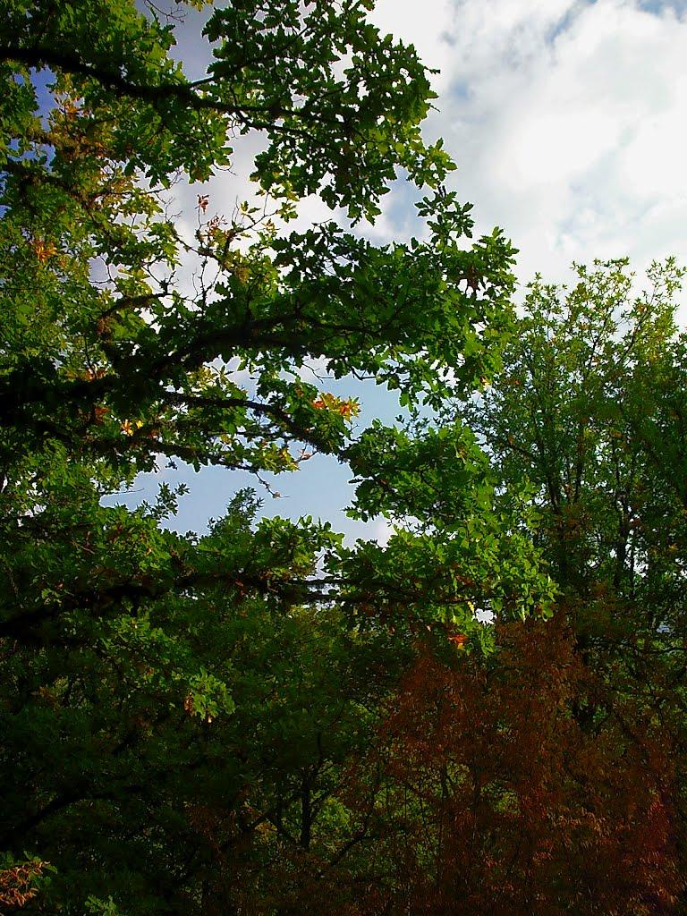 Богатир з panoramio.com - Богатырь