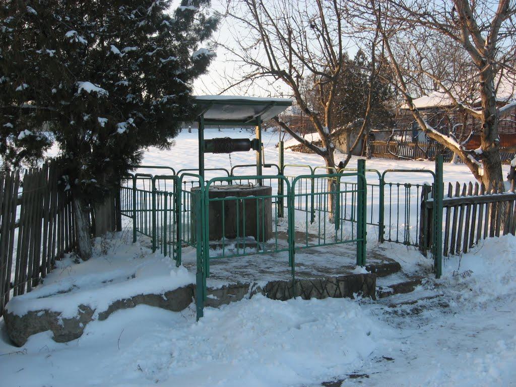 Домниця з panoramio.com - Домниця