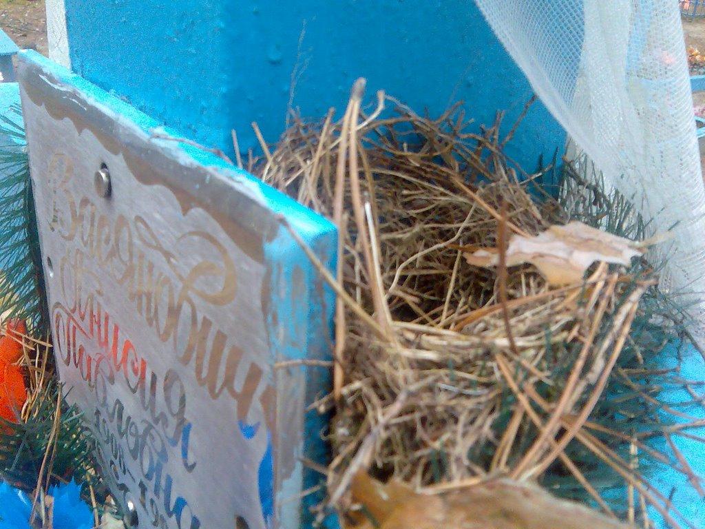 Мелені з panoramio.com - Мелені