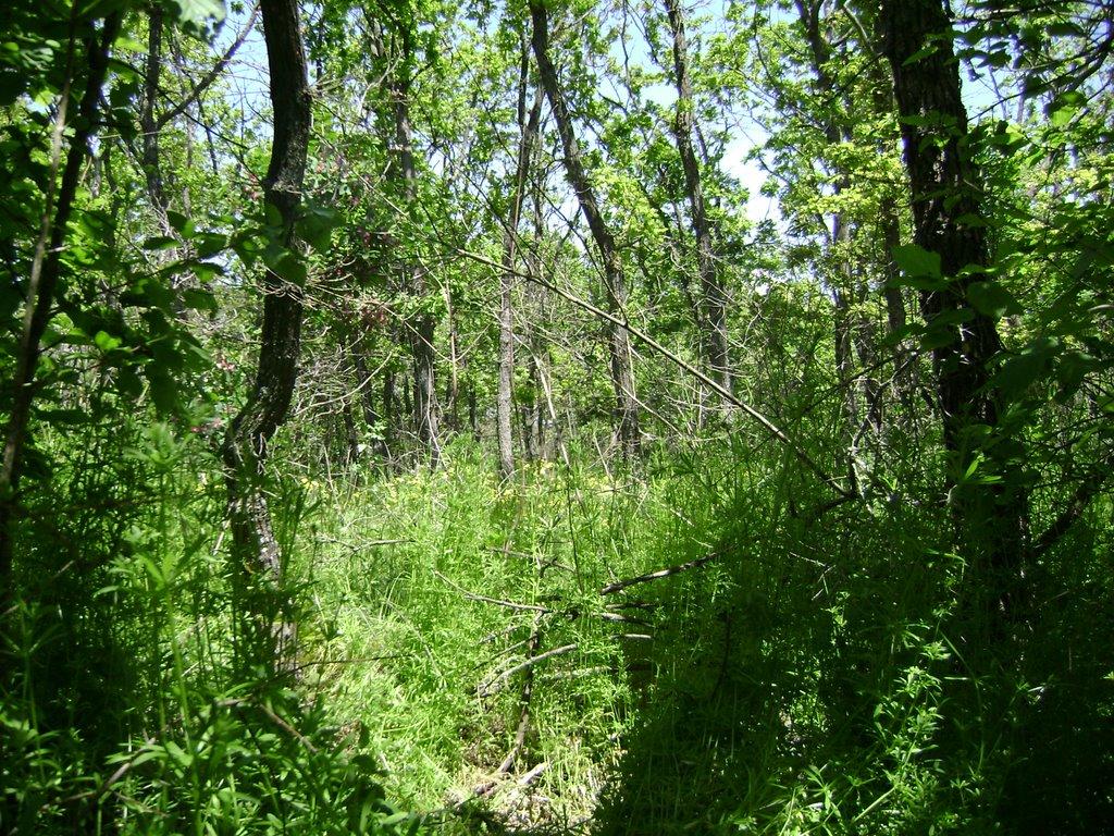 Бердянськ з panoramio.com (ч.3) - Бердянск