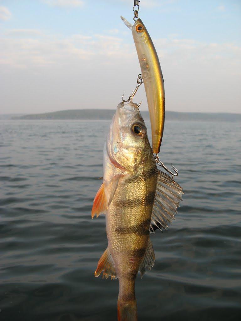 Гороховатка з panoramio.com - Гороховатка