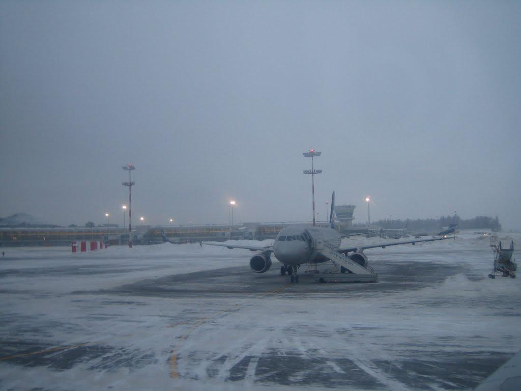 Мартусівка з panoramio.com - Мартусівка