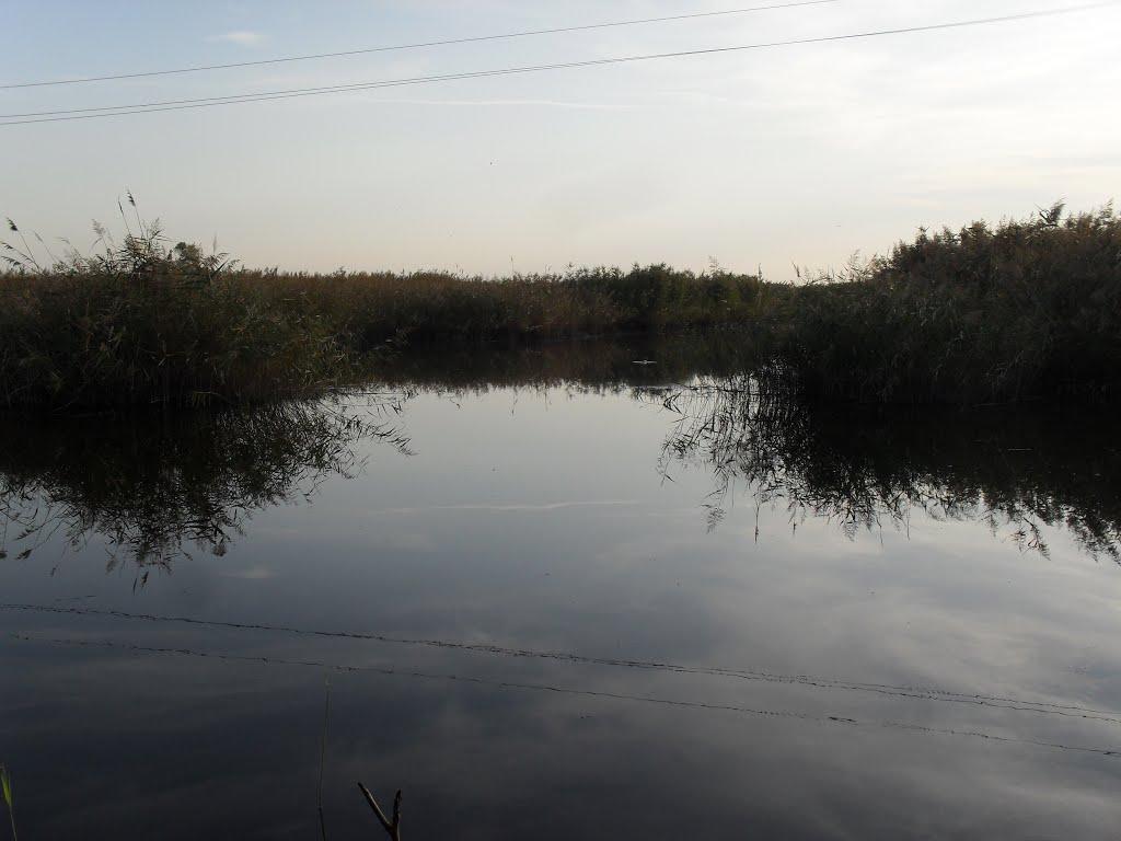 Келеберда з panoramio.com - Келеберда