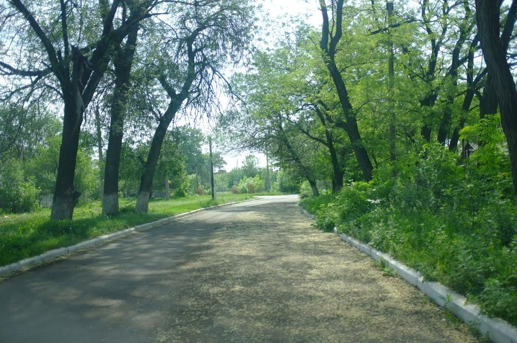 Горлівка з panoramio.com (ч.7) - Горловка