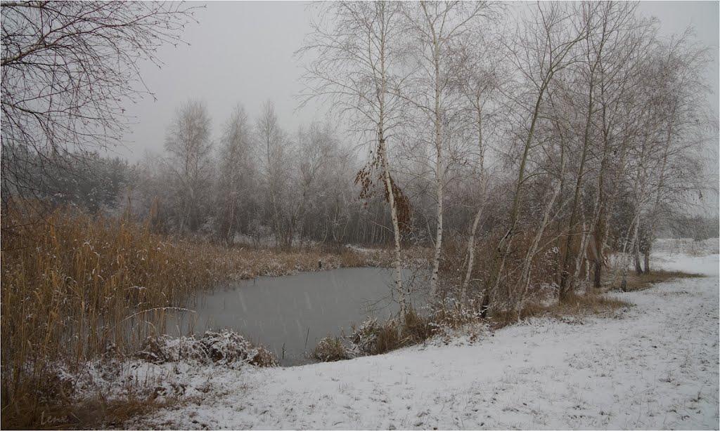 Житлівка з panoramio.com - Житлівка