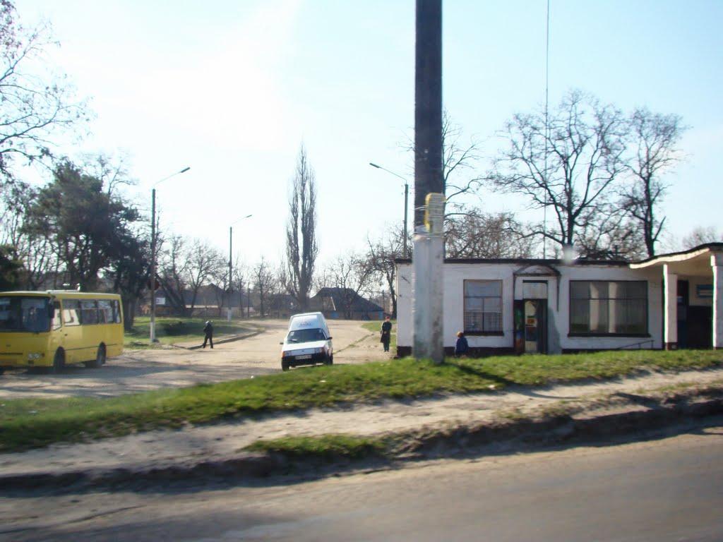 Олександрівка з panoramio.com - Александровка