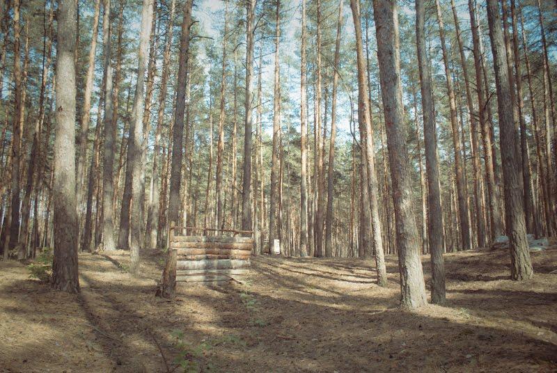 Терентіївка з panoramio.com - Терентиевка