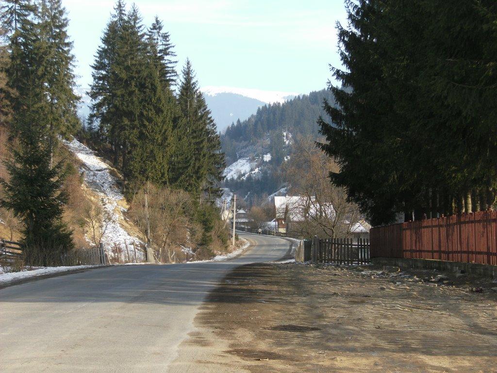 Гукливий з panoramio.com (ч.2) - Гукливий