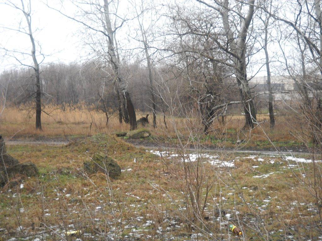 Лисичанськ з panoramio.com (ч.3) - Lysychansk
