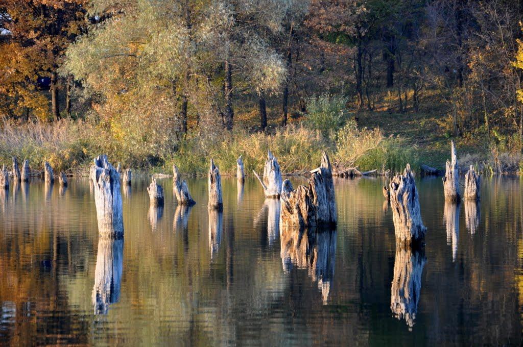 Пісочин з panoramio.com - Песочин