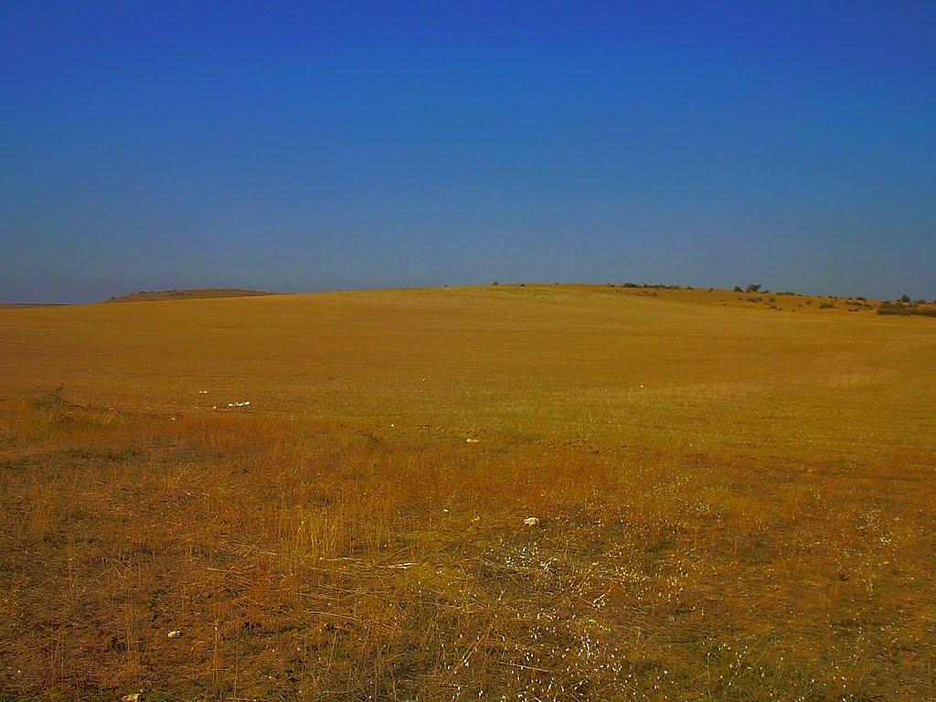 Каштани з panoramio.com - Каштани