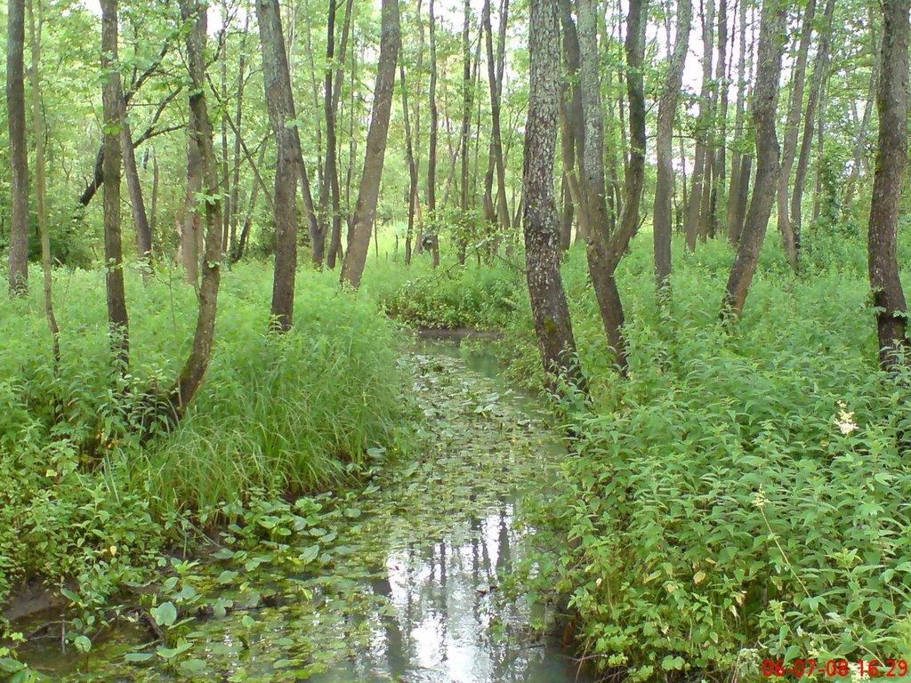 Землянка з panoramio.com - Землянка