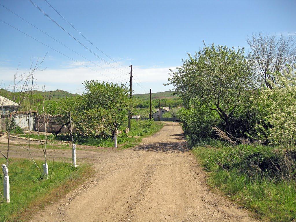 Селезнівка з panoramio.com - Селезнівка