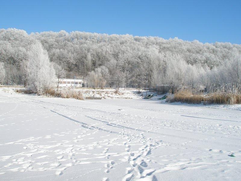 Вереміївка з panoramio.com - Вереміївка