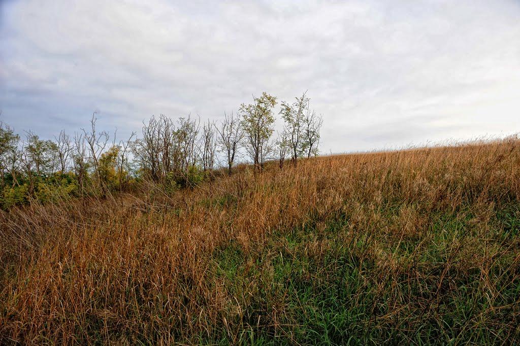 Миколаївка з panoramio.com - Николаевка