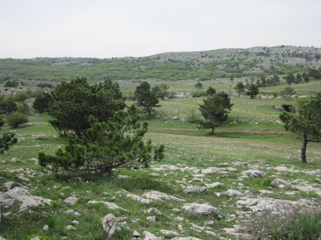 Охотниче з panoramio.com (ч.3) - Охотничее
