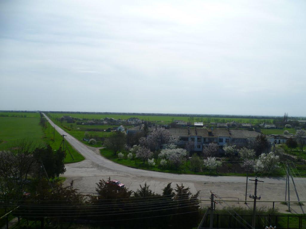 Полтавка з panoramio.com - Полтавка