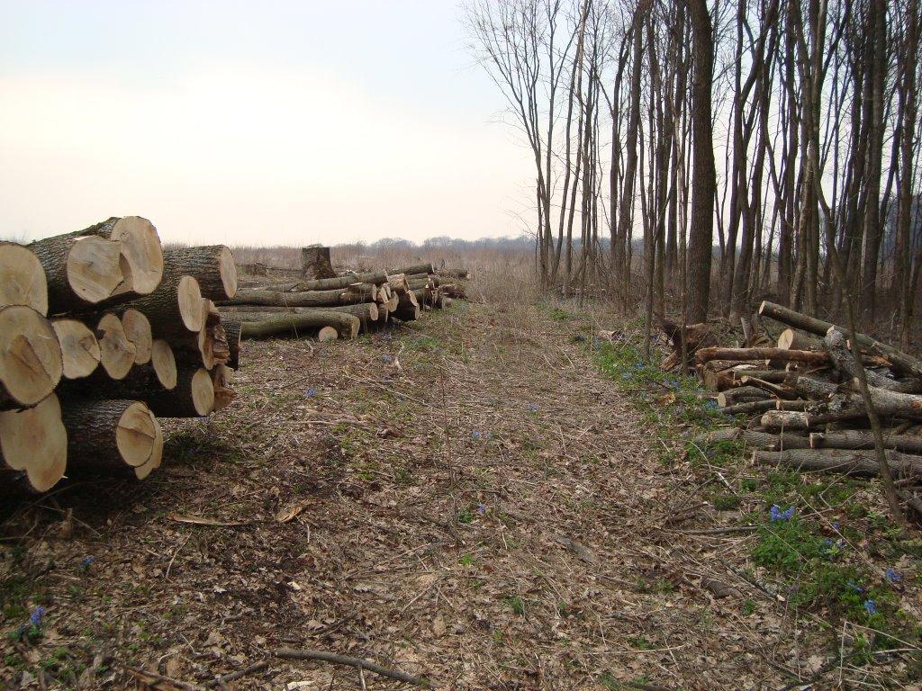 Новоукраїнка з panoramio.com - Новоукраїнка