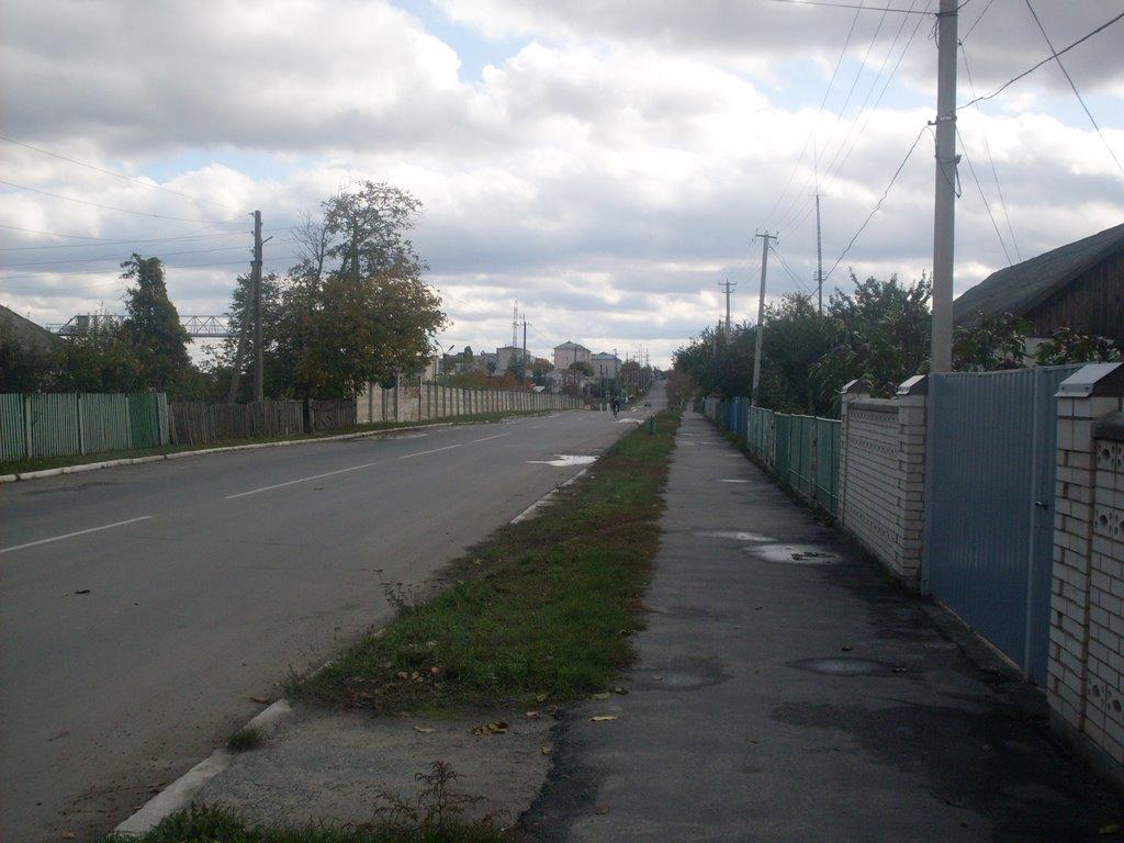 Ладижин з panoramio.com (ч.2) - Ладыжин