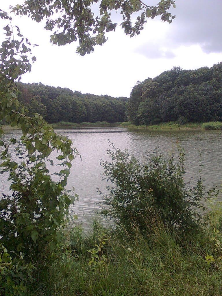 Мала Стружка з panoramio.com - Мала Стружка