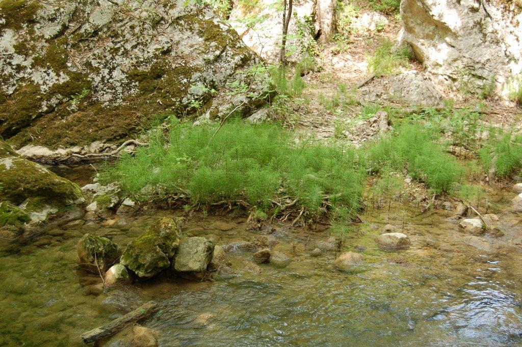 Резервне з panoramio.com (ч.4) - Резервное