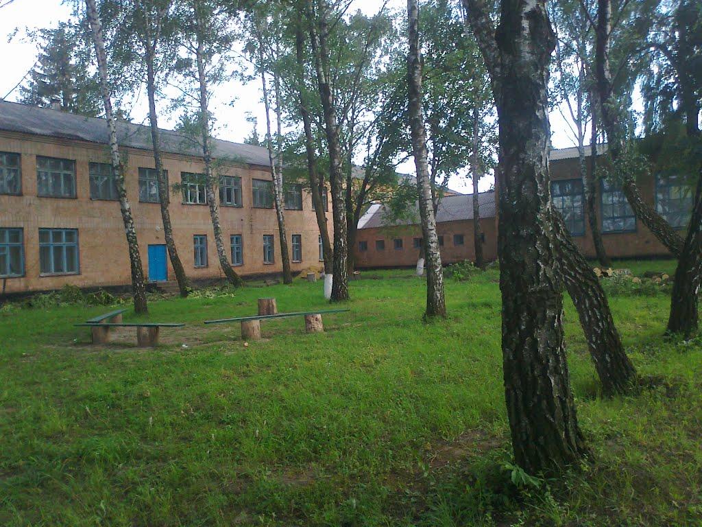 Сатиїв з panoramio.com - Сатиїв