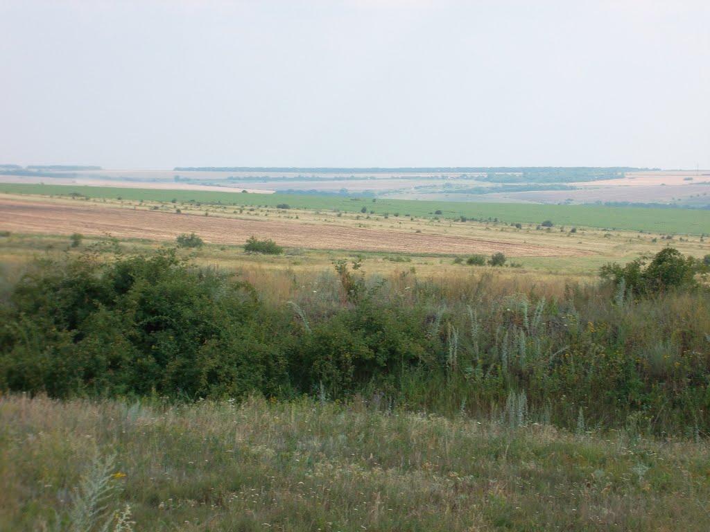 Ольховатка з panoramio.com - Ольховатка