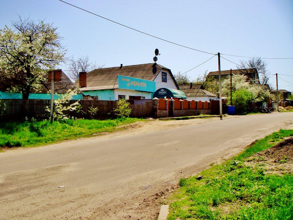 Гудзівка з panoramio.com - Гудзовка