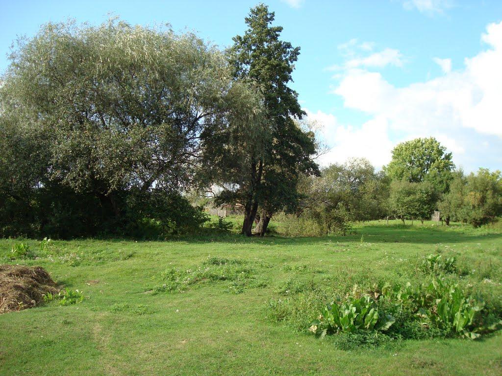 Черемошня з panoramio.com - Черемошня