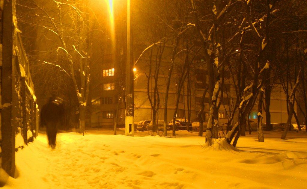 Коцюбинське з panoramio.com (ч.3) - Коцюбинское