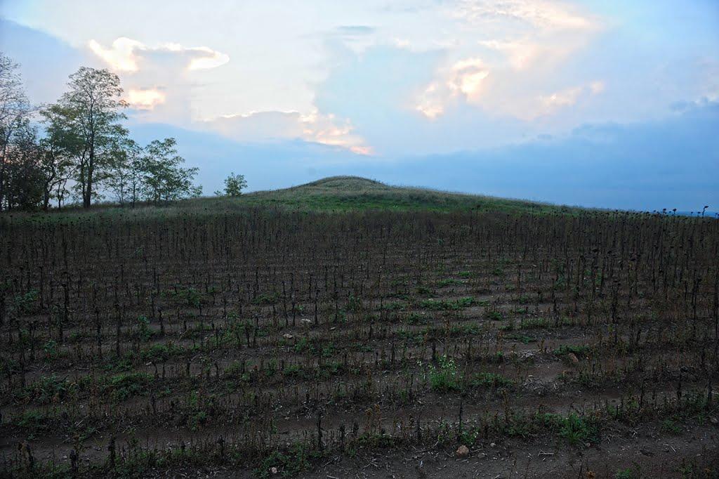 Ланцеве з panoramio.com - Ланцевое