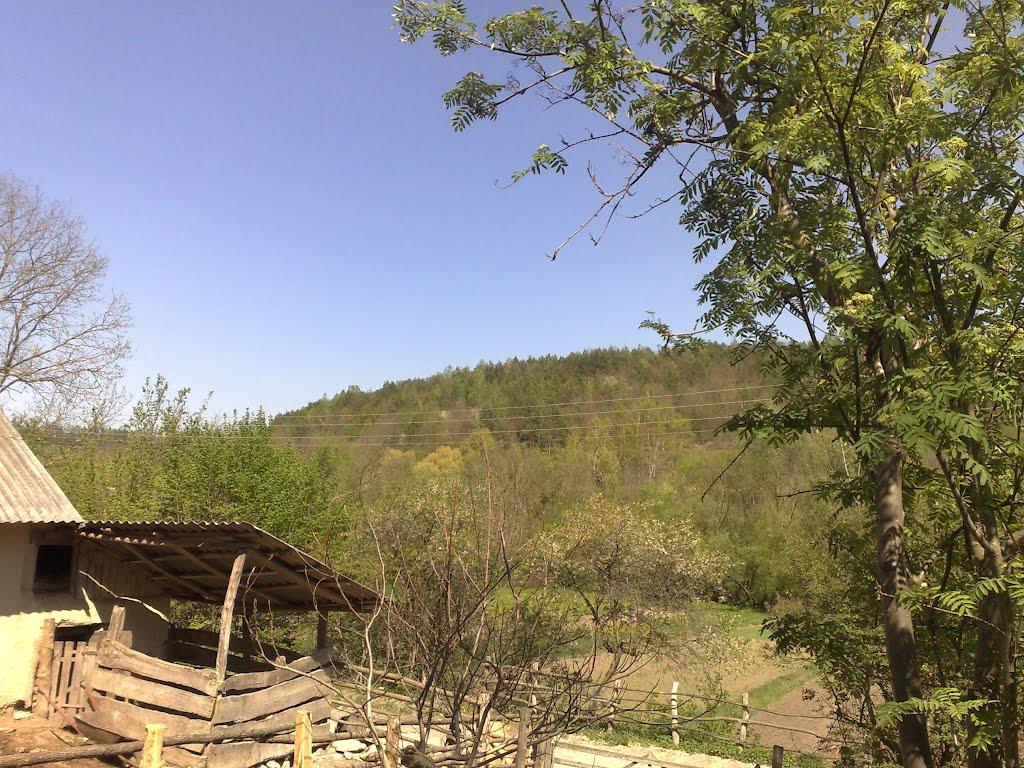 Мала Стружка з panoramio.com - Мала Стружка